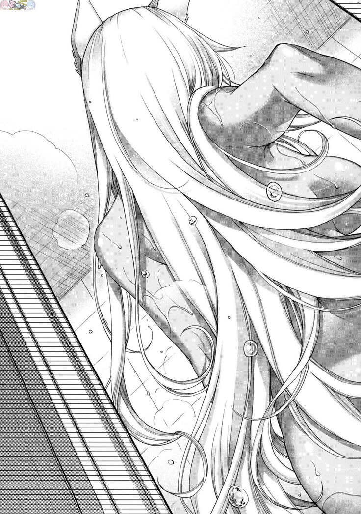Meguriai no Kemono