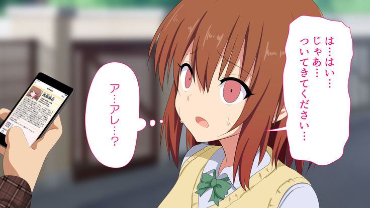 セックススマートフォン ～これさえあれば誰でも犯れる～