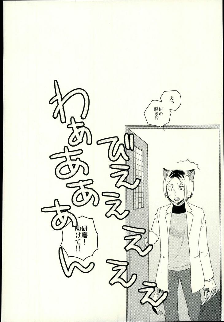 Sakihokoru Kisetsu