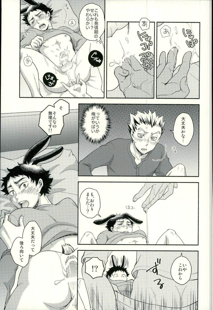 Sakihokoru Kisetsu