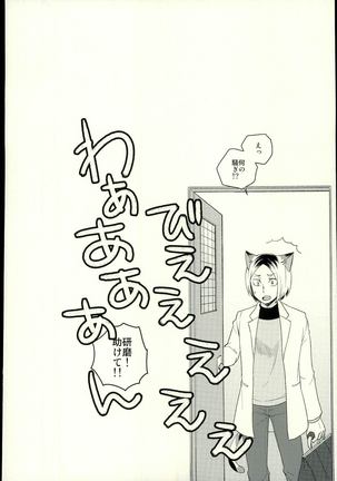 Image 2485561