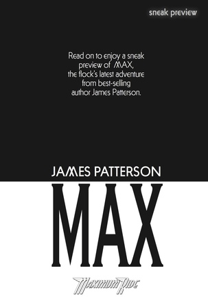 Maximum Ride: The Manga, Vol. 1 by James Patterson - Page 253