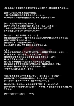 Kanojotachi ga Kaitou ni Natta Riyuu - Page 26