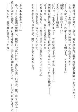 ご奉仕メイドは性処理上手 - Page 21