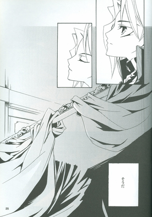Boukyaku no Oukan - Page 26
