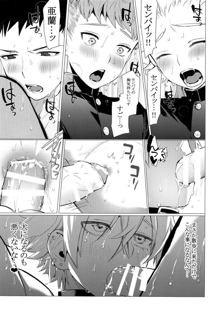 Chijoku Takaki Bicchi Inu