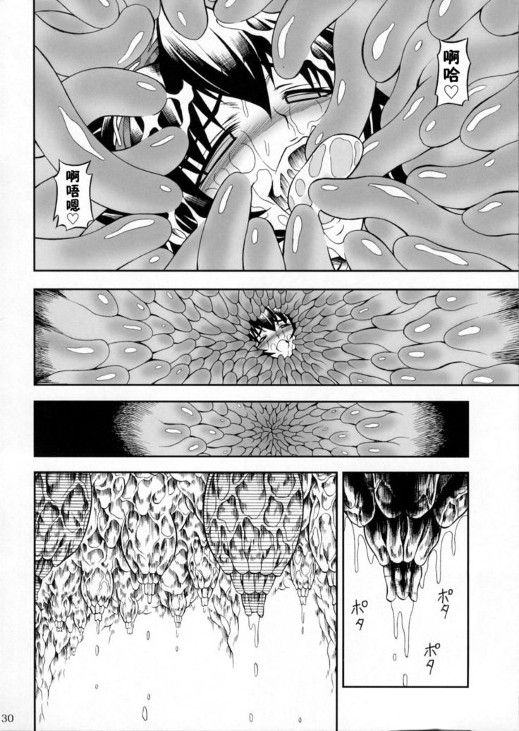 Solo Hunter-tachi no Seitai