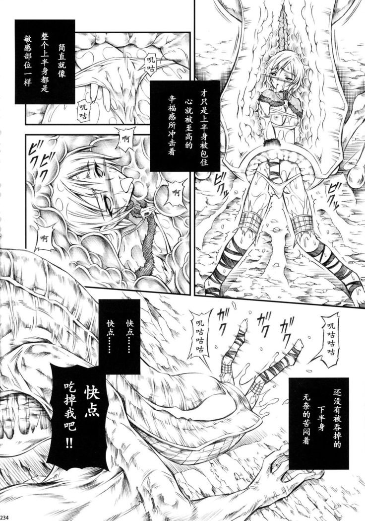 Solo Hunter-tachi no Seitai