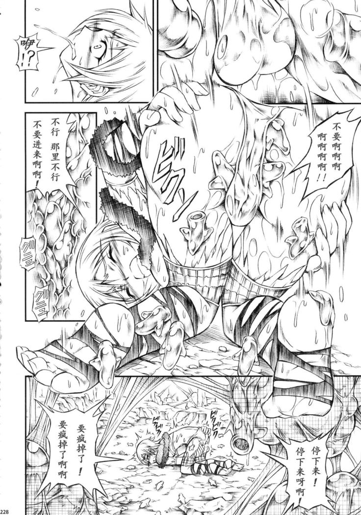 Solo Hunter-tachi no Seitai