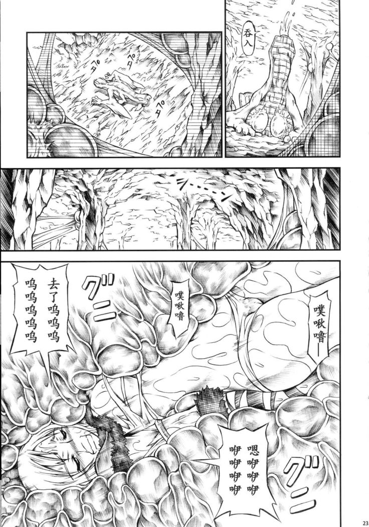 Solo Hunter-tachi no Seitai