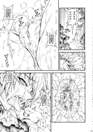 Solo Hunter-tachi no Seitai - Page 217
