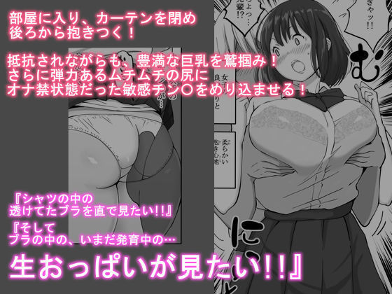 Boku ni Harem SeFri ga Dekita Riyuu