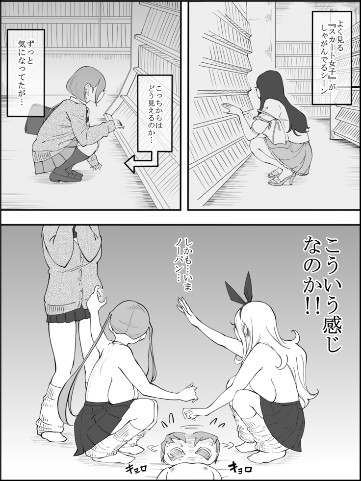 Boku ni Harem SeFri ga Dekita Riyuu