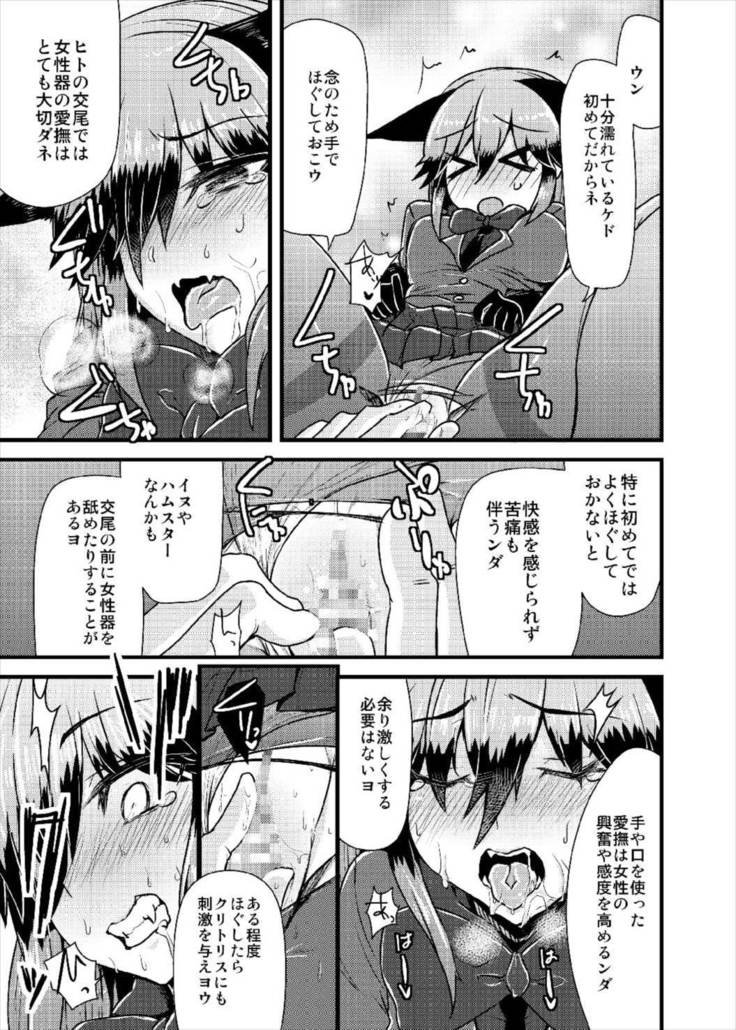 ギンギツネちゃんにヒトの交尾をおしえたいっ