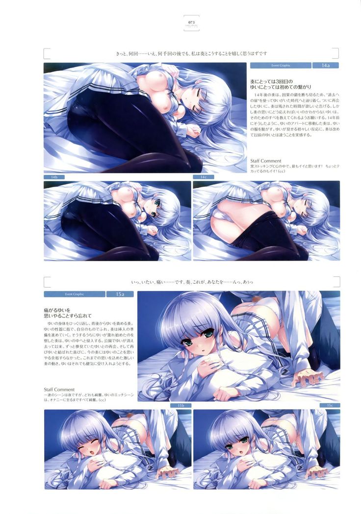 失われた未来を求めて ビジュアルファンブック