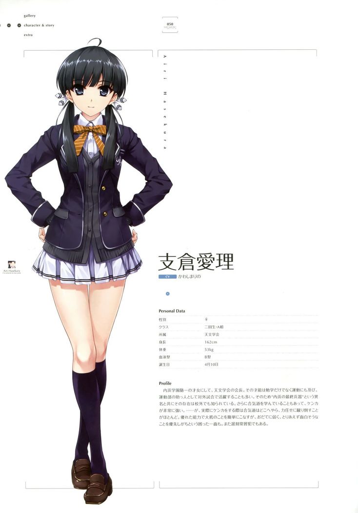 失われた未来を求めて ビジュアルファンブック