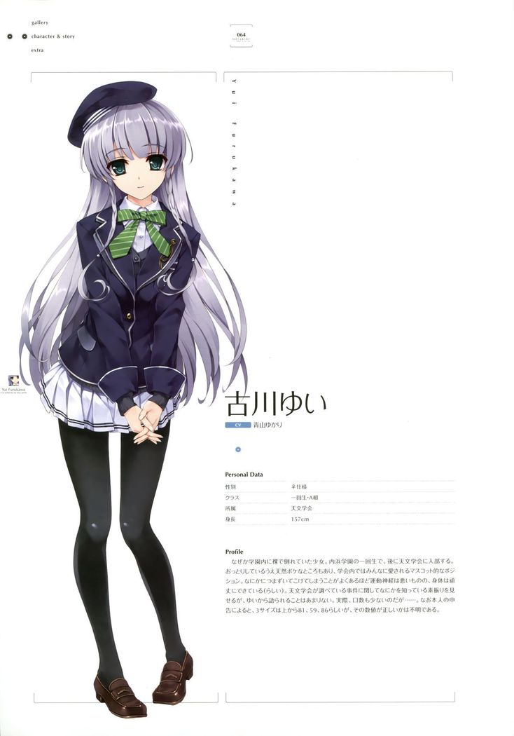 失われた未来を求めて ビジュアルファンブック