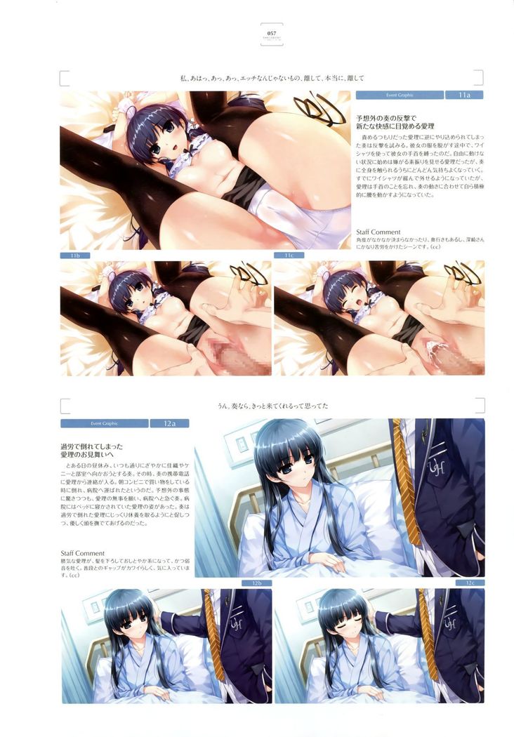 失われた未来を求めて ビジュアルファンブック