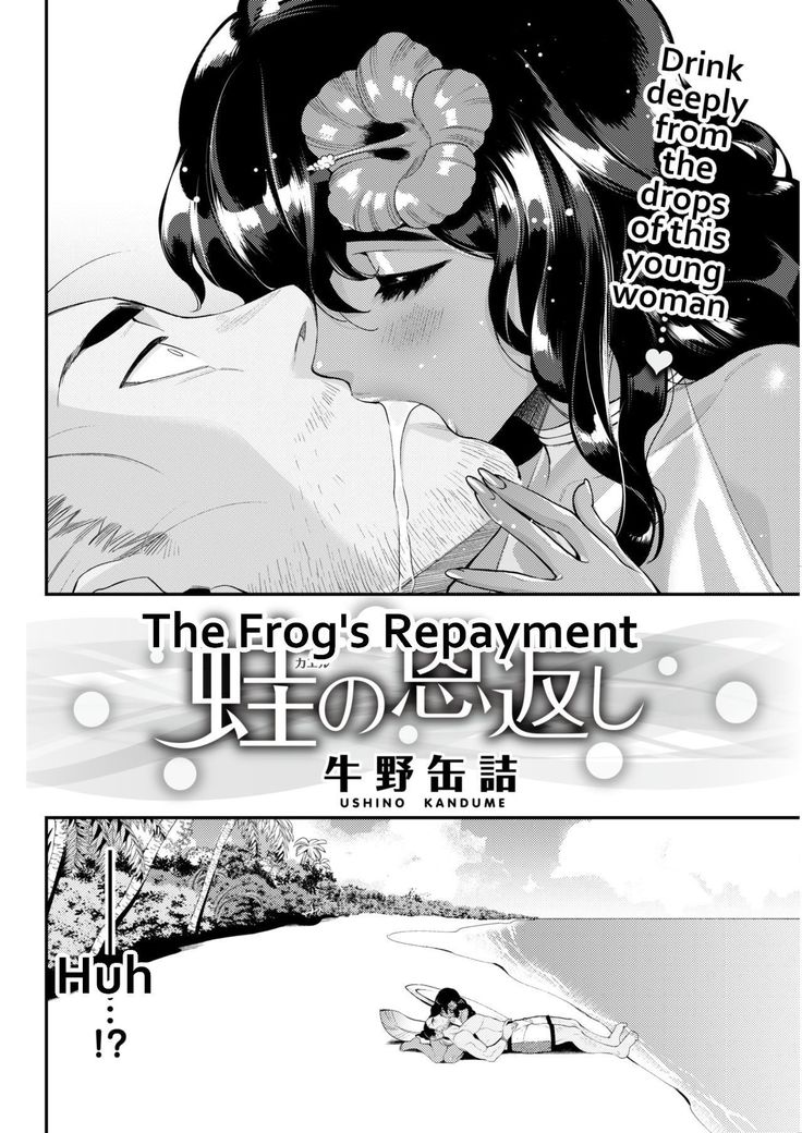 Kaeru no Ongaeshi | The Frog's Repayment