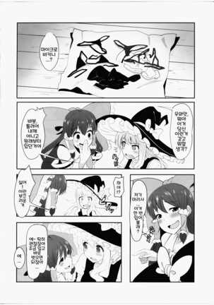 Futanari Reimu to Futanari Marisa ga Micro Bikini de Ichaicha Suru Hon - Page 4