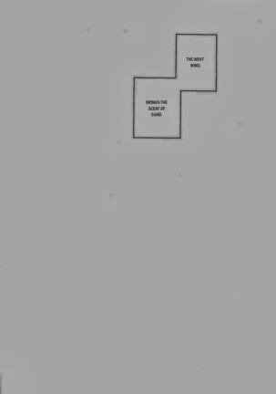 Image 11332155
