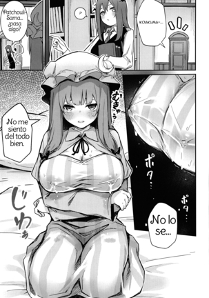 Patchouli ga Koakuma ni Shiborareru Hon (Touhou Project) Spanish - Page 4