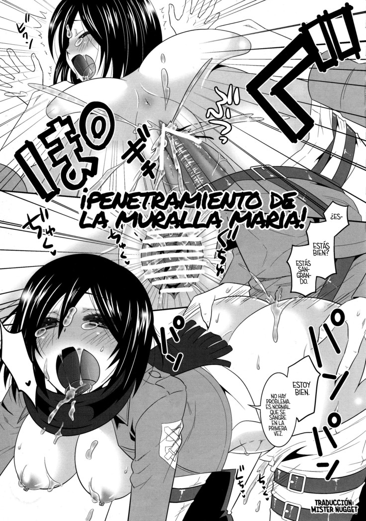 Shingeki no Mikasa