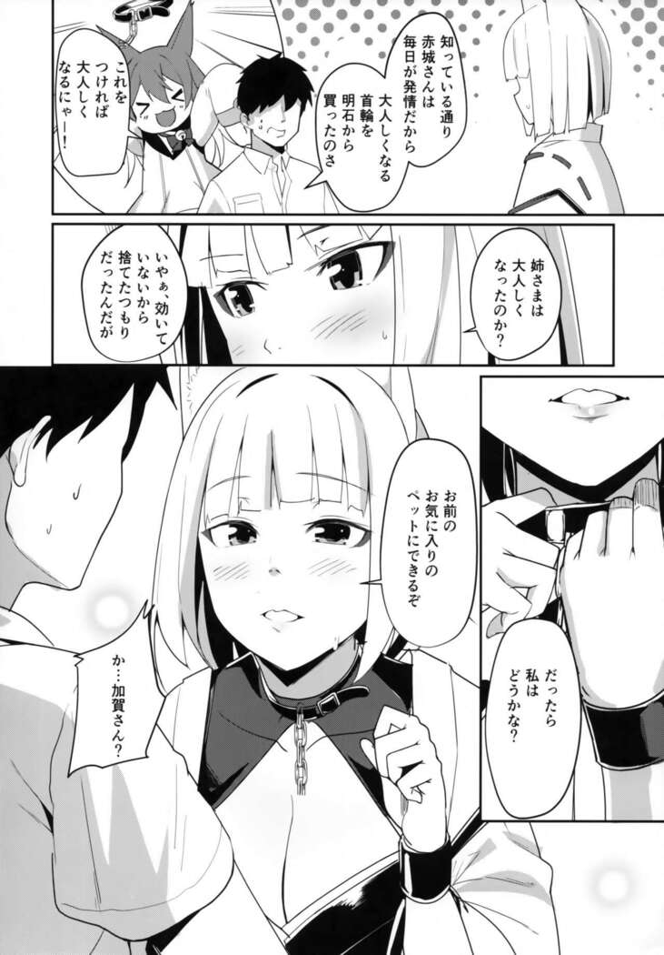 Pet na Kaga