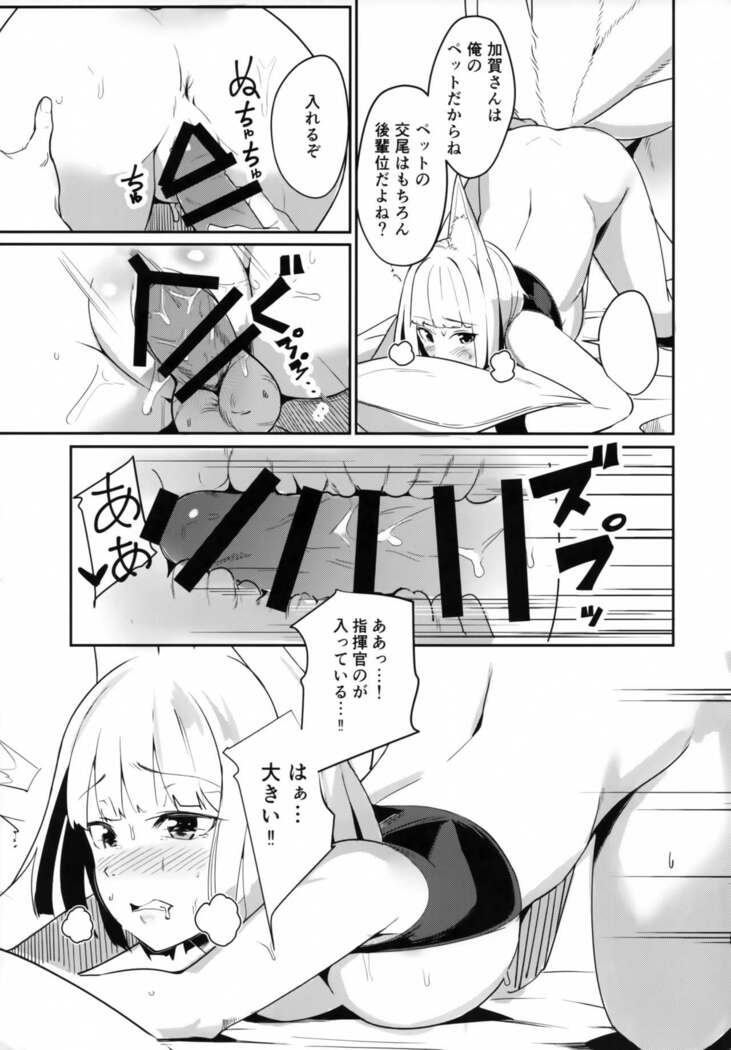 Pet na Kaga