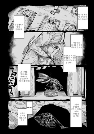 Image 6469068