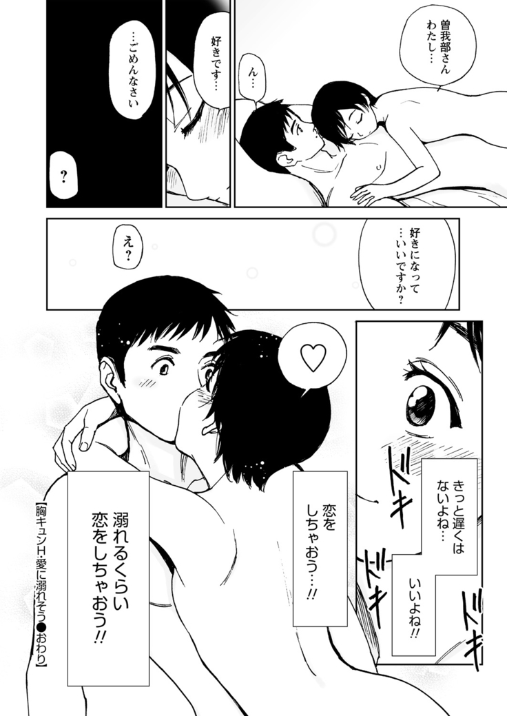 WEB Bazooka Vol.9