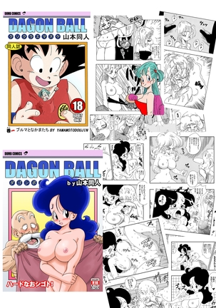 Dagon Ball - Pilaf Jou no Kiken na Wana! Page #23