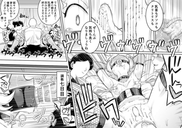 Kachou Seidorei Choukyou II