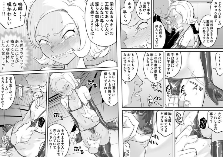 Kachou Seidorei Choukyou II