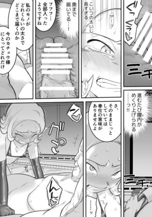 Kachou Seidorei Choukyou II Page #38