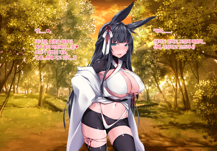 Sange no Yoru