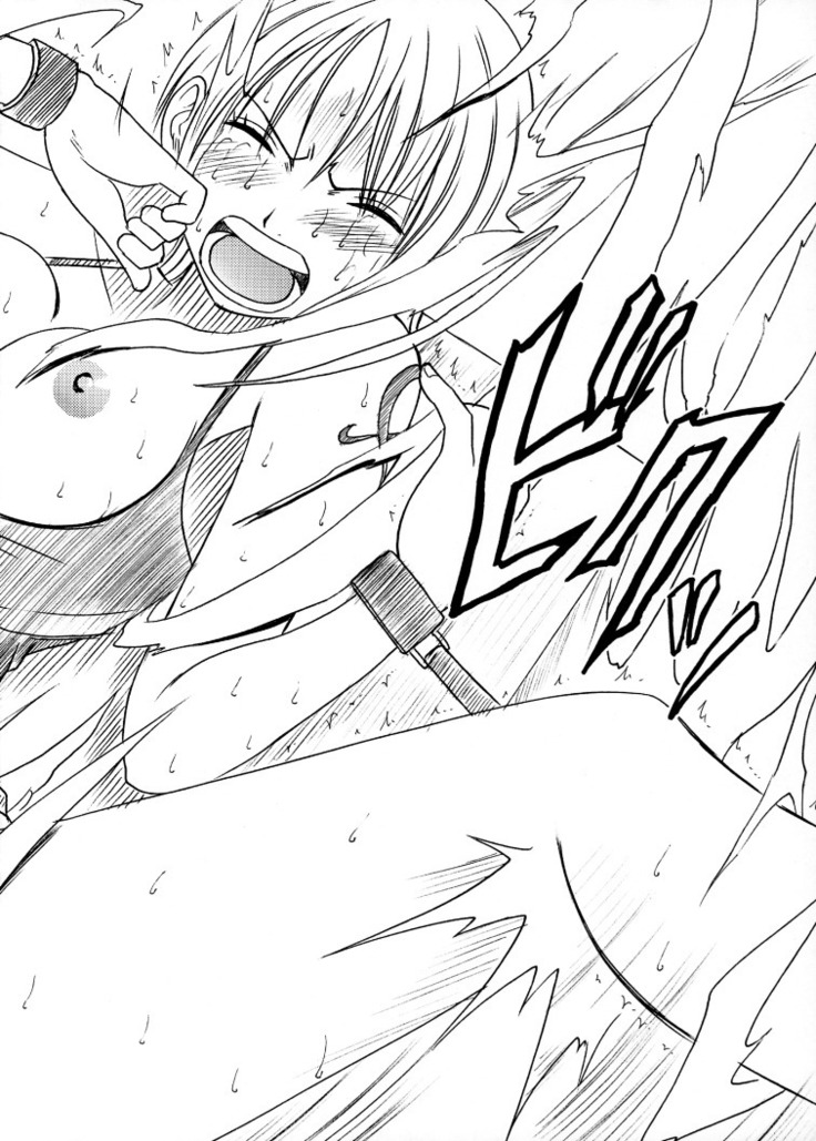 Koukai Soushuuhen 2