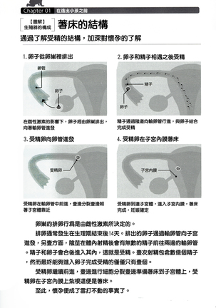 やらなくても解る性交と妊娠詳細解説 赤ちゃんのつくり方 Page #14