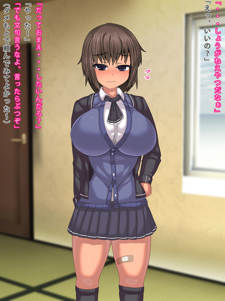 Soudan ni Notte Kureta Nee-chan ni Nakadashi Haramase Seikatsu