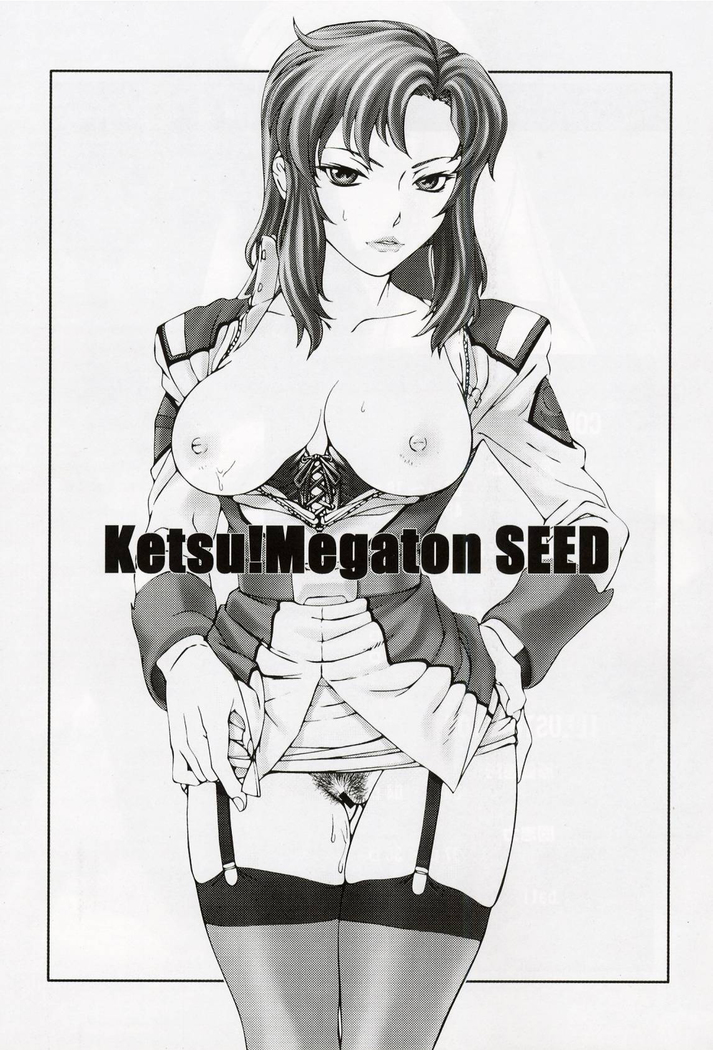 Ketsu Megaton Seed   【零食汉化组】