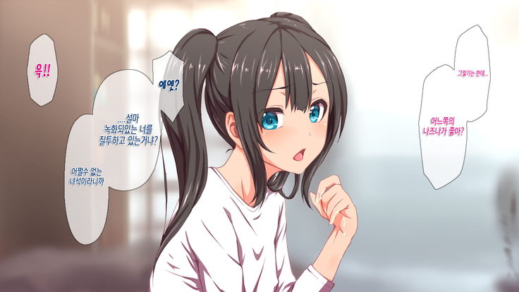 H Imouto to Dohentai Sex na Nichijou | 야한 여동생과 변태 섹스한 일상