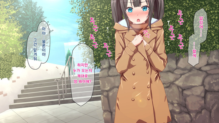 H Imouto to Dohentai Sex na Nichijou | 야한 여동생과 변태 섹스한 일상