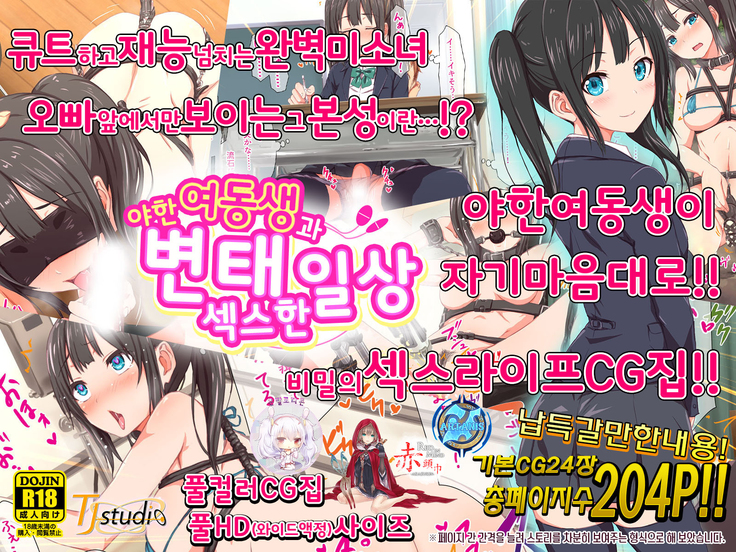 H Imouto to Dohentai Sex na Nichijou | 야한 여동생과 변태 섹스한 일상