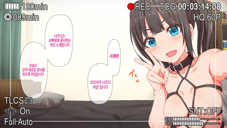 H Imouto to Dohentai Sex na Nichijou | 야한 여동생과 변태 섹스한 일상