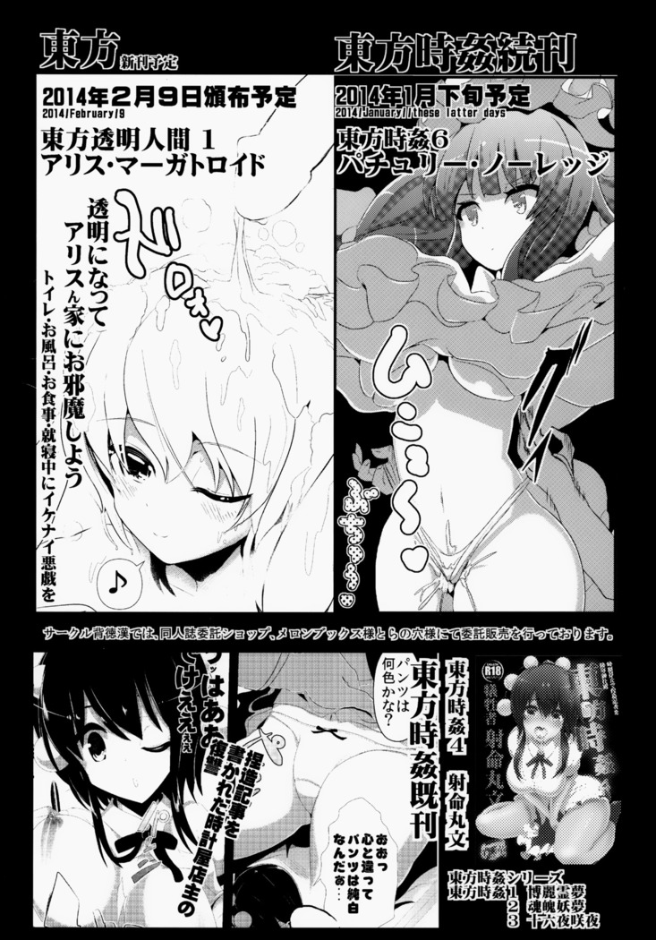 Touhou Jikan 5 Kochiya Sanae