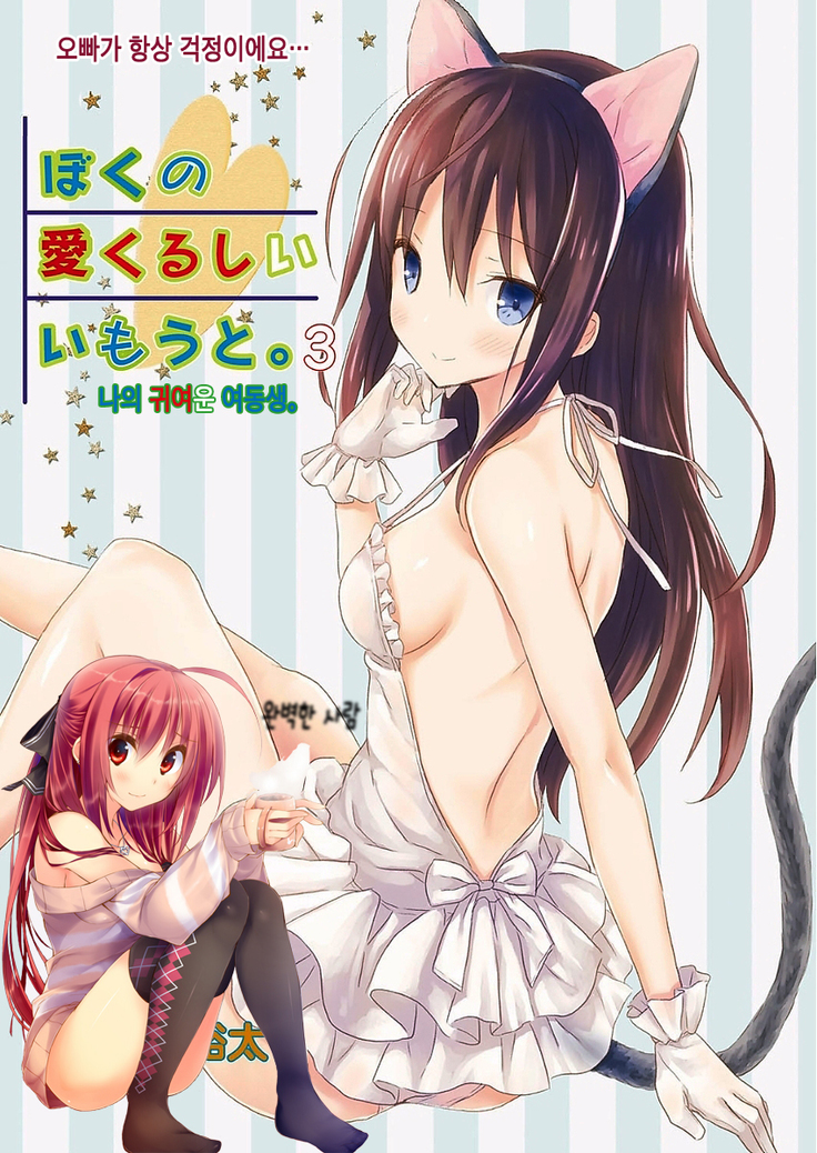 Boku no Aikurushii Imouto. 3