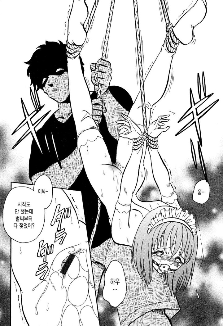 Meido Gokko Ch. 5