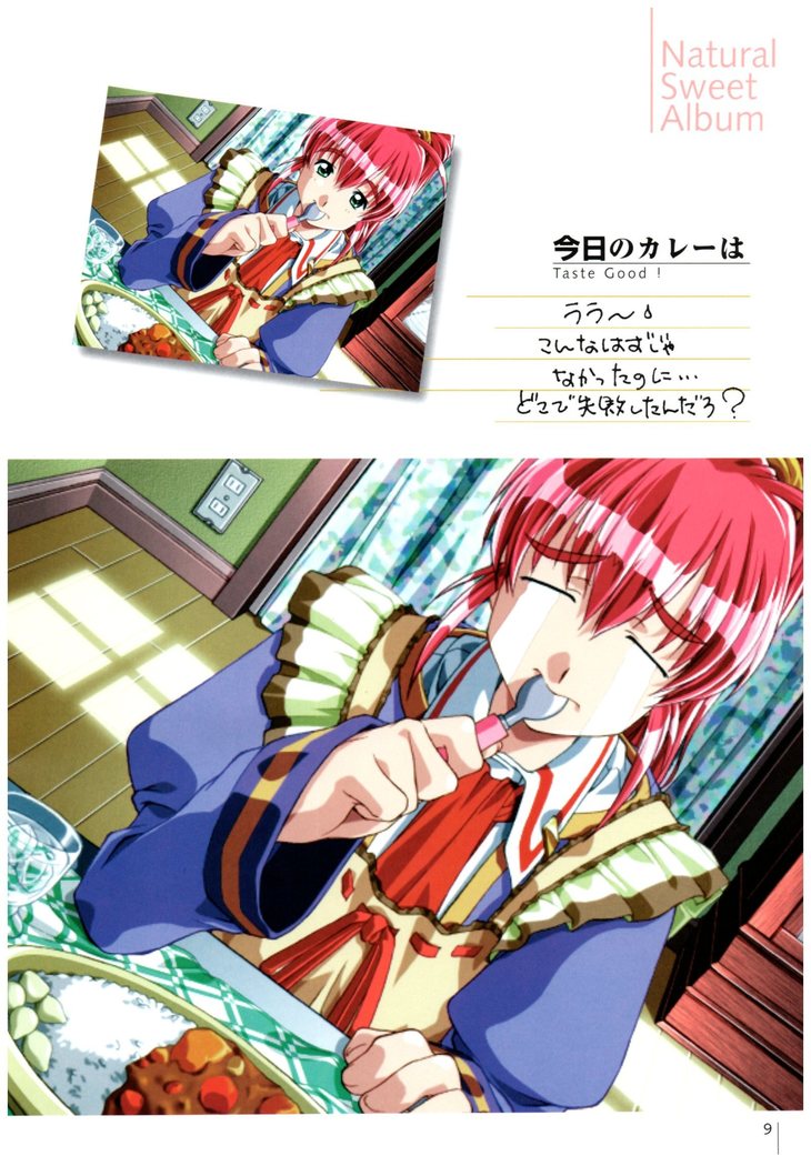 Natural〈～身も心も～〉COMOLETE ALBUM CG＆攻略集