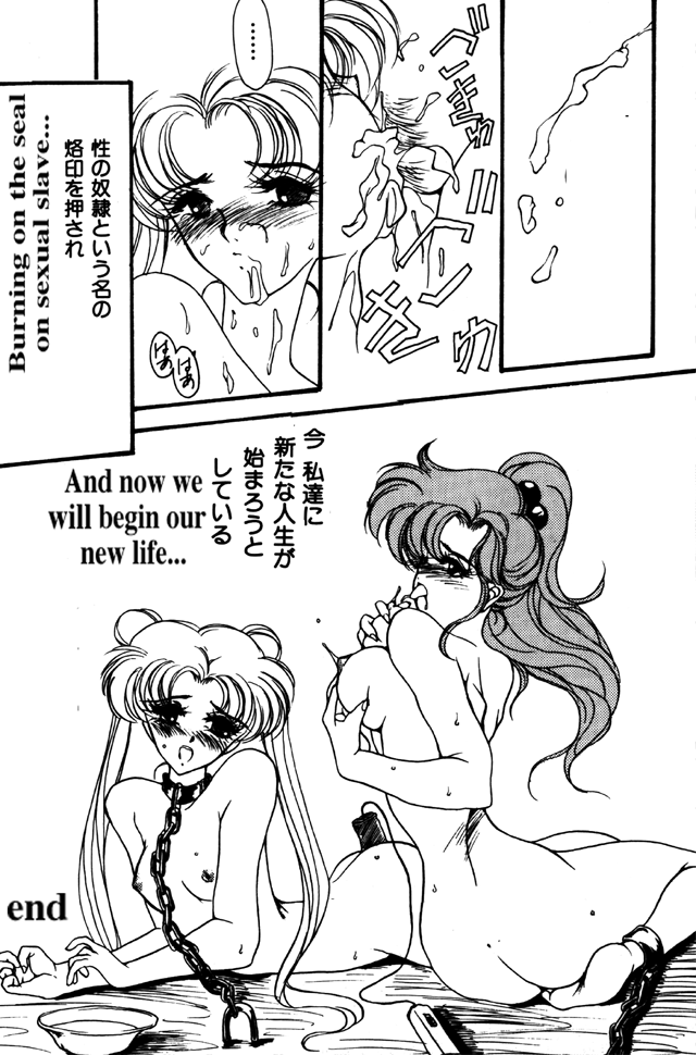 moon paradise