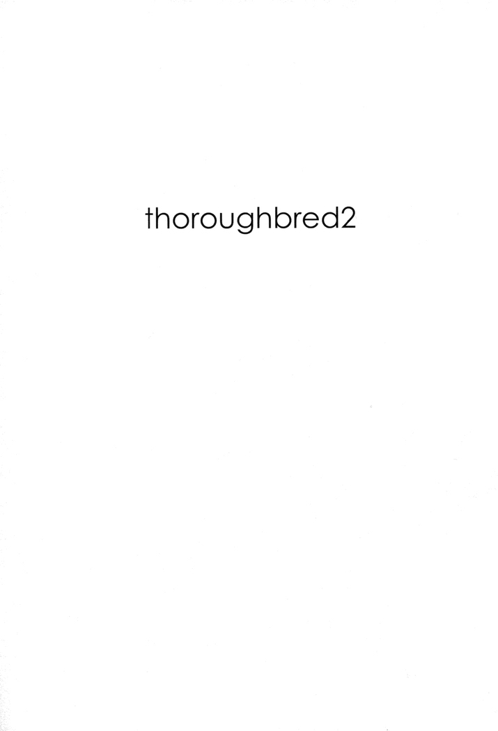thoroughbred2
